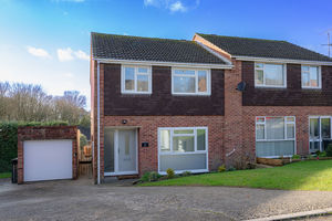 Photo 1- click for photo gallery